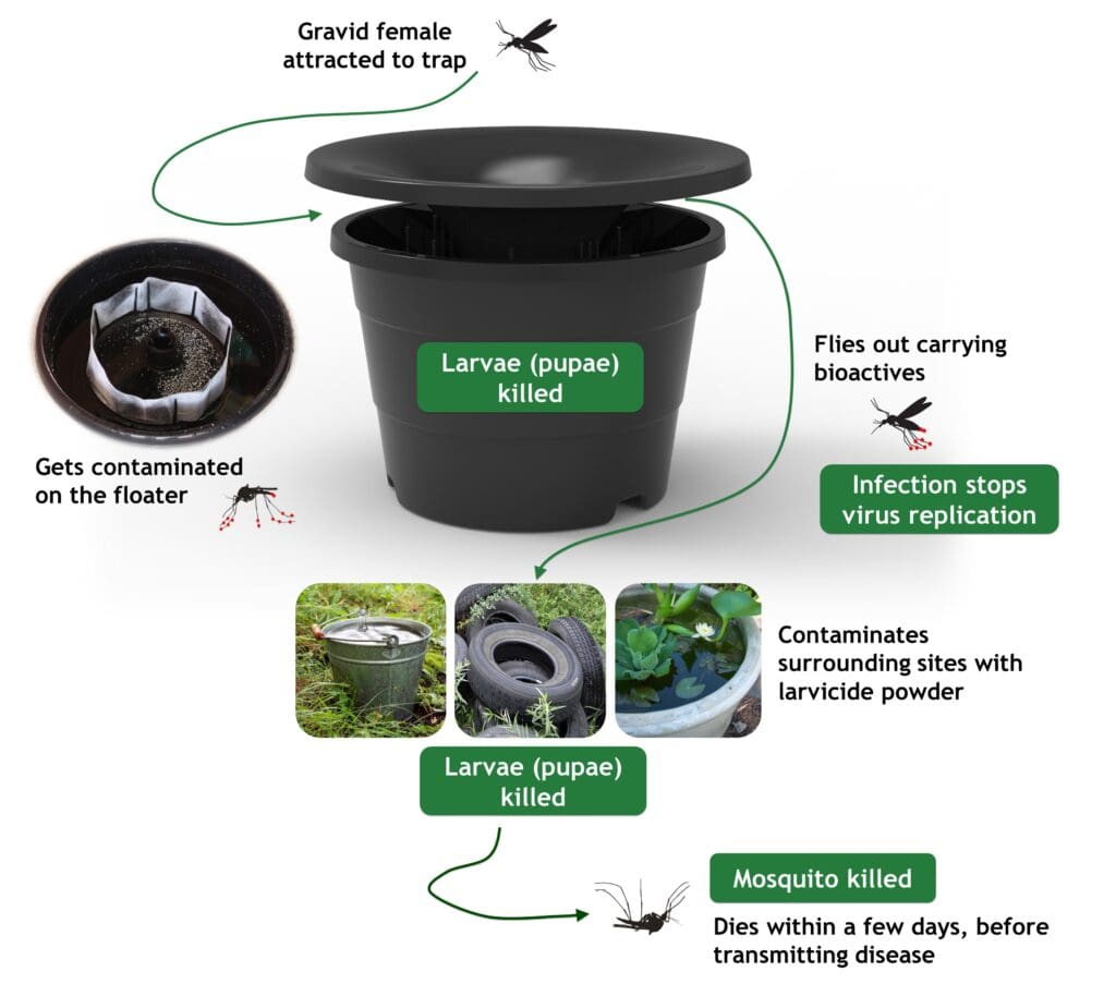 In2Care® Mosquito Station diagram illustrating mosquito control mechanism, highlighting larvicide and adulticide effects on mosquito populations and surrounding breeding sites.