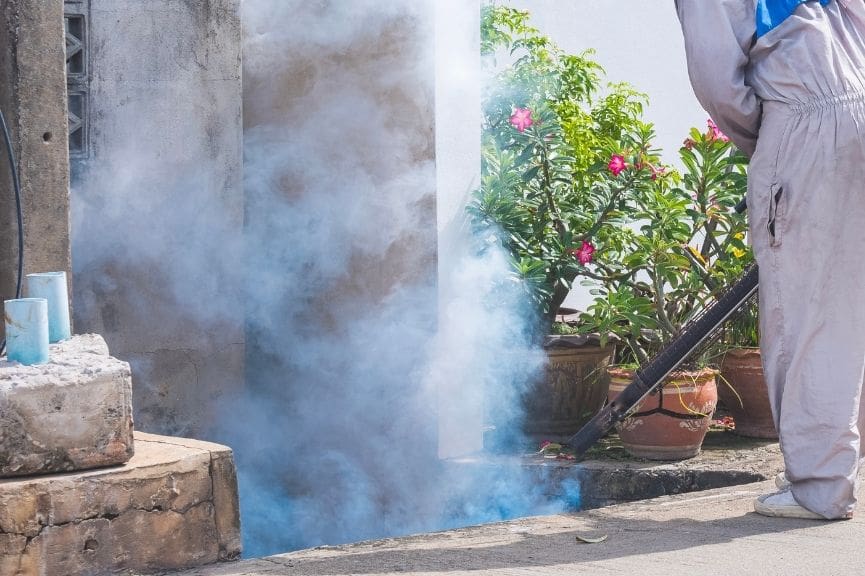 Mosquito Barrier Spray vs. Fogging vs. Misting Systems: What’s Right for Your Yard?