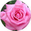 Beverly Bonkowski profile picture